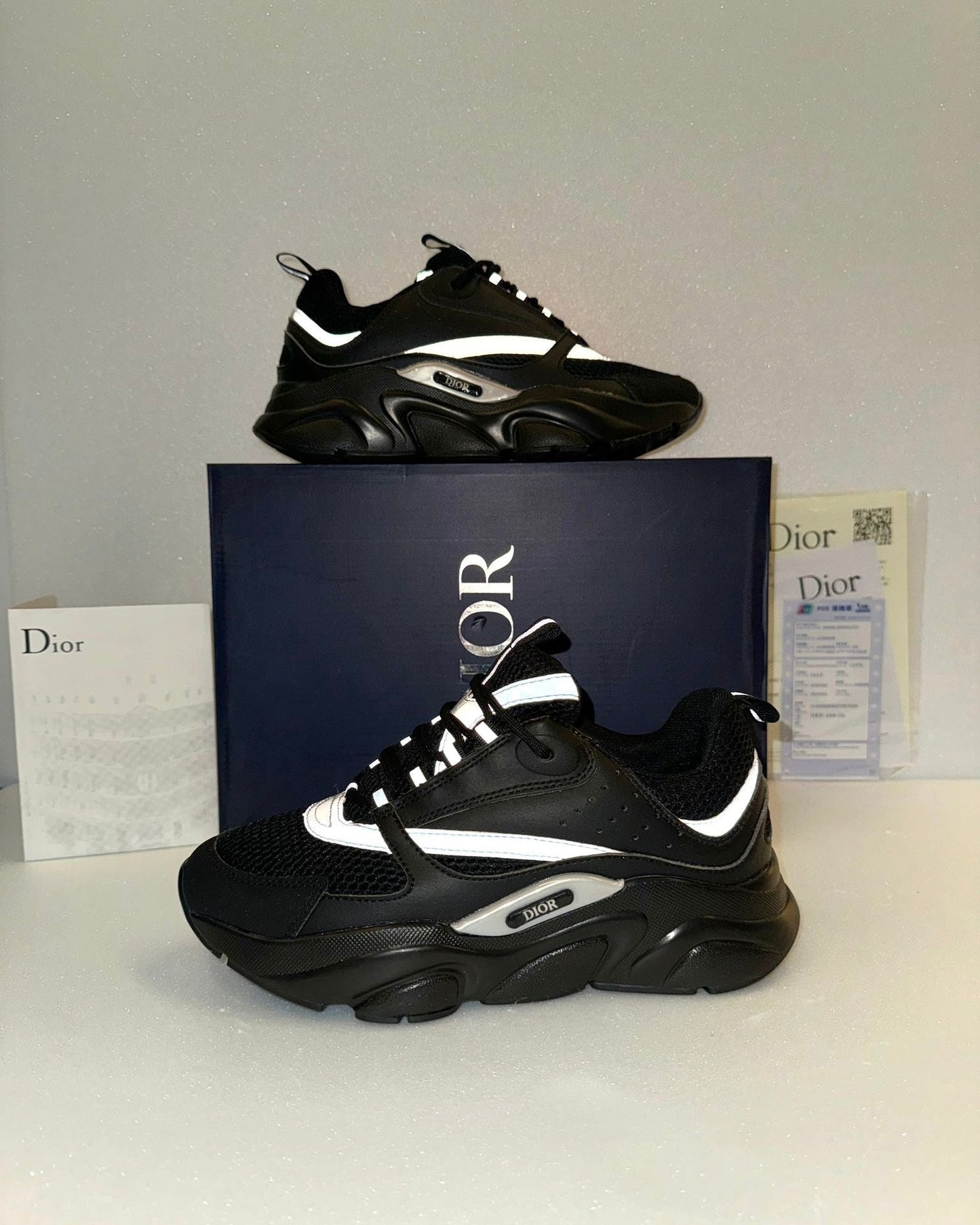 DIOR B22